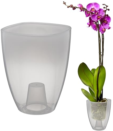 VERDENIA KAJA - Maceta para orquídeas, diseño Minimalista, Ligera, para Interiores, Polipropileno, Superficie Transparente, práctica y Funcional, 12 x 12 x 17 cm, Transparente