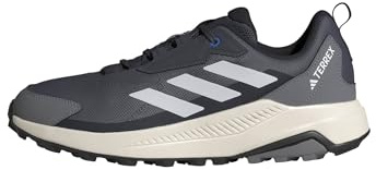 adidas Herren Terrex Anylander Hiking Shoes, Aurora Onix/Dash Grey/Legend Ink, 50 2/3 EU