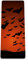 Eslifey Flying Fledermaus-Yogamatte, dick, rutschfest, für Damen und Mädchen, Trainingsmatte, weiche Pilates-Matten, (182,9 x 81,3 cm, 1/3 Zoll dick)
