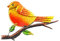 Crispe Metall Wand-Deko - Vogel orange – 50 x 32cm - geprägte 3D Wanddekoration - Wandbild inkl. praktischer Wandbefestigung – dekorative Wandskulptur – für In- und Outdoor
