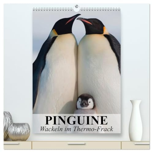 Pinguine - Wackeln im Thermo-Frack (hochwertiger Premium Wandkalender 2026 DIN A2 hoch), Kunstdruck in Hochglanz: Kaiser- und Königspinguine in ihrem natürlichen Lebensraum (CALVENDO Tiere)