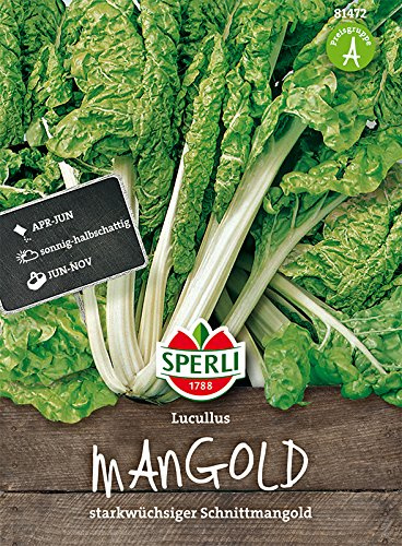 Mangold, Lucullus