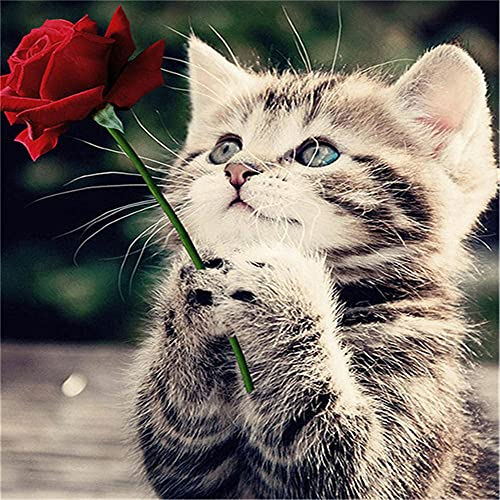 Yingxin34 Puzzles Pour adultes 1000 pièces, Chat et Fleur Adulte Enfants jouet éducatif intellectuel bricolage objets de Collection décoration de la Maison Moderne 38x26cm (14.96x10.24inch)