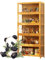 uofgcru Bambou Bücherregal Vitrinenschrank,glasvitrine stehend, Sammlervitrine,Hängevitrine,Wandregal Glasvitrine,Wandvitrine,Hängeregal,Schaukasten-172x60x33cm(5 Tier) Brown