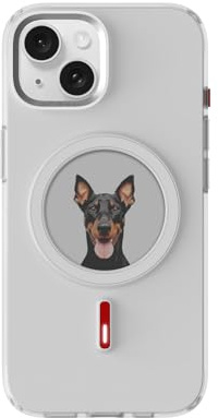 Oeli XTREM für iPhone Hülle, Magnetische NFC E-Ink Screen Hülle Weiß