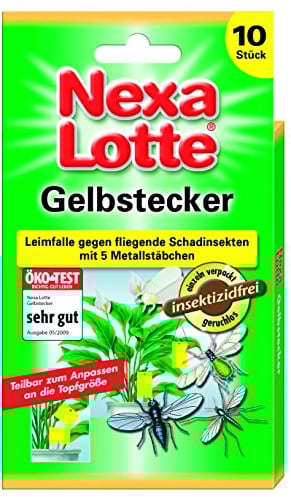 Nexa Lotte Gelbstecker - 10 St.
