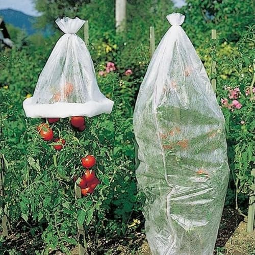 Schutzvlies 0,8x5m 17g/m² weiss Tomaten Reifevlies