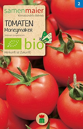 Samen Maier 775 Tomate Moneymaker (Bio-Tomatensamen)