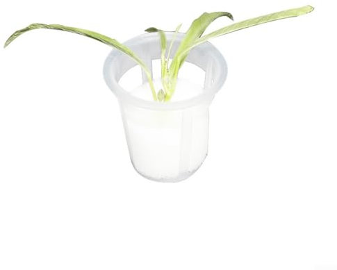 Paquete de 50 vasos de red de plástico, vasos de red para plantar con esponja, vasos resistentes, macetas de malla para cultivo de plantas, cesta de malla para cultivo de plantas de jardinería y