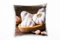Paul Sinus Art künstlerische Fotografie, Knoblauch, braun, weiß Deko Kissen 40x40cm für Couch Sofa Lounge Zierkissen - Dekoration zum Wohlfühlen