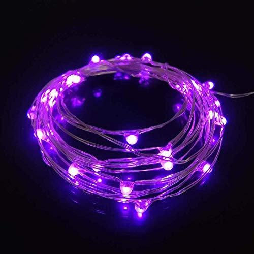 yongzhenlite Set of 2 Battery Operated Mini Led Fairy Lights Dewdrop Lights with Timer 6 Hours on/18 Hours Off for Christmas Party Decorations,30 LEDs,10 Ft Silver Wire (Purple Color)
