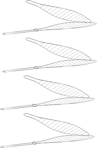 HAC24 4 asadores de pescado de acero inoxidable, 42 x 9 cm, para pescado, para pescado, para pescado, para pescado, para pescado, para pescado, maíz