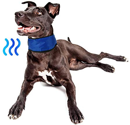Albert Austin Pets Dog Cooling Bandana Gel Filled Portable Quick Cooling Dogs Summer Essential Prevent Overheating Easy to Use Dog Cooling Collar Stress Relief Cooling Bandana for Dogs (Medium)