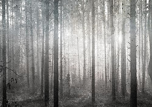 decomonkey Fototapete Baumkronen Wald 350x256 cm Design Tapete Fototapeten Vlies Tapeten Vliestapete Wandtapete moderne Wand Schlafzimmer Wohnzimmer Baum Natur Schwarz Weiß