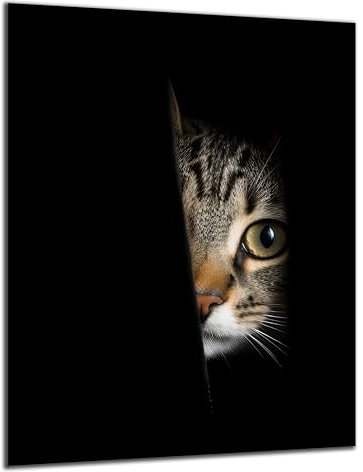 Munera Design - Bild 56x84 - Katzen-Bilder Tiger-Katze guckt - Wand-Bilder Wohnzimmer