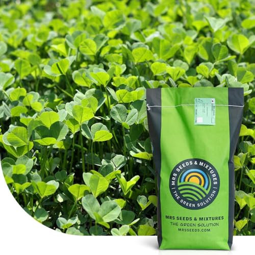 Micro trèfle | 5 kg - 1.500 m² | Résistance à la sécheresse | Pour une pelouse extra dense et verte sans mousse | Une libération lente et continue d’azote | Faible besoin en entretien