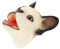 LRXIYODE Interactive Dog Hand Puppet Comfortable Glove Puppet for Creative Storytelling and Playtime for Parties and Developing Motor Skills and French Bulldog