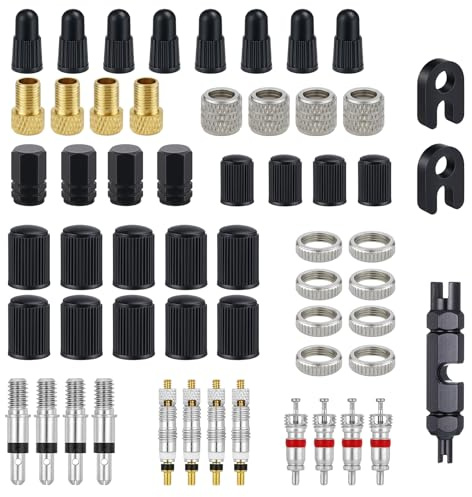 39 Stück Französisches Ventil Adapter, Ventilkappen Fahrrad Französisch, Fahrrad ventile, Fahrrads Presta Ventil mit Ventilkappen, Französisches Ventile Adapter für Fahrräder, Mountainbikes Austausch