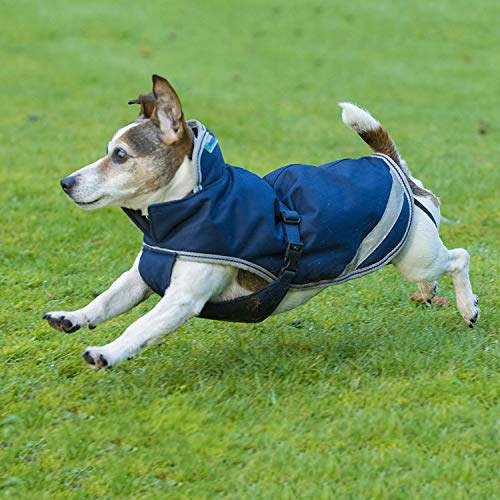 Bucas Freedom Dog Blanket Hundemantel light (Navy, 70)