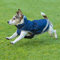 Bucas Freedom Dog Blanket Hundemantel light (Navy, 70)