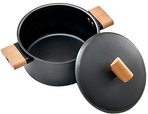 Pentola 20 Cm Ghisa - Rivestimento Antiaderente Di Alta Performance Con Coperchio Tutti Fornelli Y Induzione 3.75L