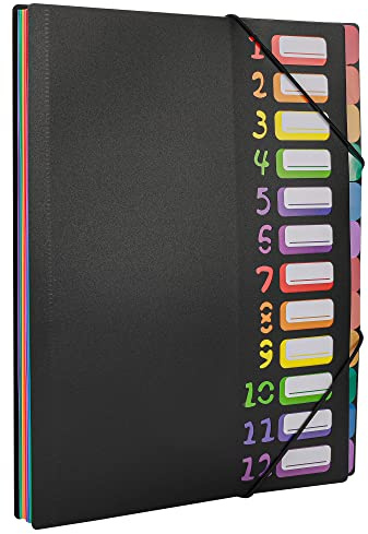 Edufun Fächermappe mit 24 Fächern, Aktenordner, Briefform, für 240 Blatt, Kunststoff-Regenbogen-Futter, farbige Aktenmappe für Zuhause, Büro, Schule (schwarz)