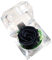 Gadpiparty Rose Préservée dans Une Boîte Fleur Éternelle Rose dans Un en Verre avec Ruban Rose Préservée pour Anniversaire Anniversaire Saint Valentin Faveurs De Fête De Mariage