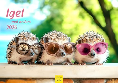 Edition Seidel Premium Kalender Igel mal anders 2026 Format DIN A3 Wandkalender Tierkalender mit lustigen coolen Bildern Tiere Wildtiere