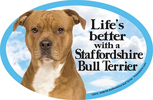 Fridge Magnets Staffordshire Bull Terrier Red Dog Gift - Life's Better - Large Fun flexible size 6.25 x 4.25