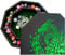 Fantasydice Green Fire Dragon Dice Tray with Wizard Book Print – 23CM Octagon with Dice Staging Area, Holds 5 Dice Sets – Perfect for D&D, Call of Cthulhu, Shadowrun, and All Tabletop RPGs