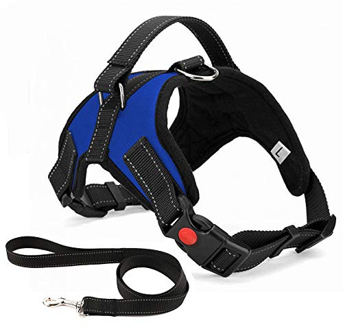 Musonic Harnais pour Chien sans Traction, Confort Réglable et Respirable, Laisse Incluse, pour Petit Moyen et Grand Chiens, Idéal pour l'Entra?Nement et la Marche (XL, Bleu)