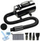Asciugatore per Cani e Gatti - Phon per Animali Domestici, 3200W, 3 Livelli di Temperatura, 2 Velocità, Basso Rumore, Leggero e Portatile, Ideale per Toelettatura Professionale e Casalinga (Nero-LED)