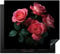 KitchenYeah© Herdabdeckplatte Einteilig Abdeckplatten Cerankochfeld Abdeckung Ceranfeld Herdplattenabdeckung Induktionsmatte Rosen - Rosa - Blumen - Natur - Schwarz - Pink - 60x52 cm