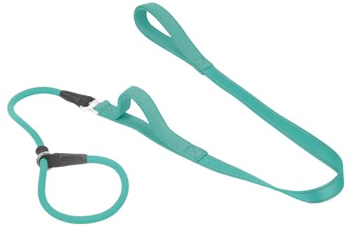 Slip Lead for Dogs Double Handle, Reflective Anti Pull Dog Lead Dog Training Leads [360° Swivel Anti-tangle] Strong Nylon Rope Dog Lead Slip Collar and Leash for Large Medium Small Dog 1.5m Turquoise
