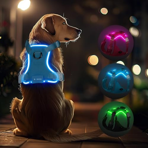 Feycig Hundegeschirr Leuchtend für Große Hunde - LED Hundegeschirr Aufladbar Einstellbar Reflektierendes Brustgeschirr, 3 Beleuchtungsmodi, Hohe Sichtbarkeit Leucht Geschirr (Schwarz, Medium)