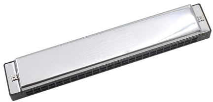 Professionelle Doppelseitige Mundharmonika Mit 24 Löchern In C Und D Silbernem Vibrato Geeignet Für Anfänger Mundharmonika Für Erwachsene(C key)