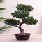 Plantes artificielles décoratives de bonsaï Artificiel, Plante en Pot de pin de Simulation, Petite Plante en Pot, Mini Plante Verte Artificielle pour Le Bureau à Domicile intérieur/extérieur