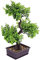Generisch Künstliche Topfpflanze Zen-Garten-dekor Dekorative Künstliche Flora Wohnzimmerdekor Outdoor-Statue Hasbulla Heimdekoration Im Freien Dekoration Büro Mit Deckel China Plastik