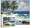 Tucocoo 1000 Teile Puzzle für Erwachsene Meer Landschaft Malerei Puzzle Ozean Palmen 1000 Teile Puzzles für anspruchsvolle Familienaktivität Spiel 50 x 70 cm DIY Puzzle Wanddekoration Geschenke