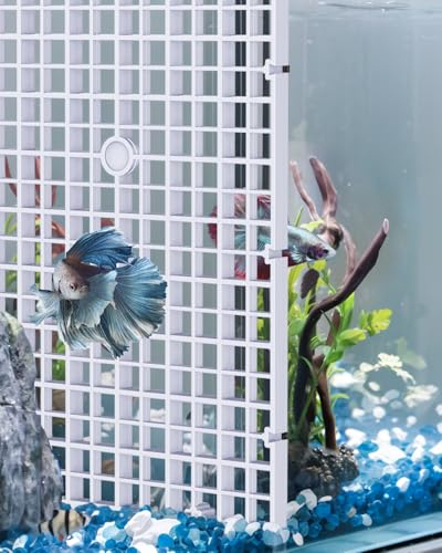 Pawfly Divisor de plástico para peces, 4 piezas, divisor de rejilla para acuario, separador de aislamiento para peces y plantas, color blanco
