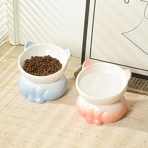 2 PCS Elevated Ceramic Cat Bowls, 25°Raised Cat Food Bowl, Whisker Friendly Anti Vomiting Cats Dishes, Anti Vomiting & Protect Pet's Spine, Feeder Dish for Indoor Kitty and Small Dogs(Gradient colour)