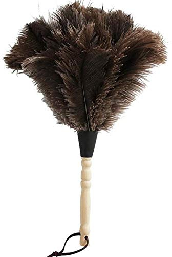 ZSHYP Plumero Avestruz AutéNticas, Atrapapolvo Plumas Suaves Y Gruesas Lavables Mango De Madera Atrae Las Partículas De Polvo,55cm