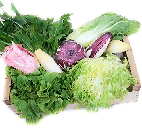 Frischekiste Bittersalatbox 3 kg
