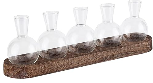 Propagationsstation Terrariumglas mit Holzstand Pflanzenterrarium Desktop Clear Glass Terrarium Pflanzen Vase Innenhydroponic Lampe Vase Pflanzer Bürodekor 5pcs