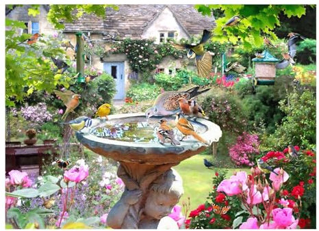 The House of Puzzles Summer Birds Jigsaw - 1000 Piece Jigsaws For Adults, Artist Illustrated, Scenic Landscape, Deluxe Puzzle Gifts