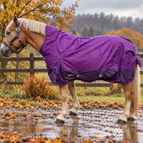 Brama-West Outdoordecke Pferd Riders King mit High Neck & Fleece Futter - 600D - Wasserdicht - Lila (115)