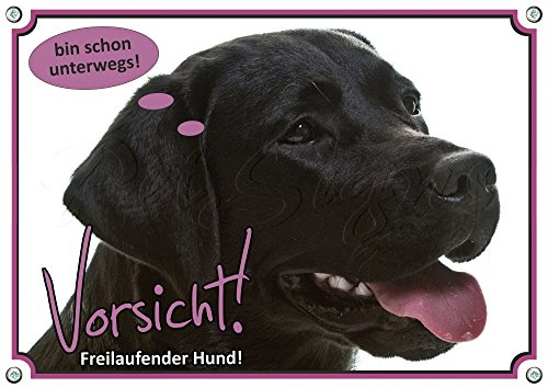 Warnschild Labrador Retriever - Exklusives Hundeschild in Fotoqualität, DIN A5