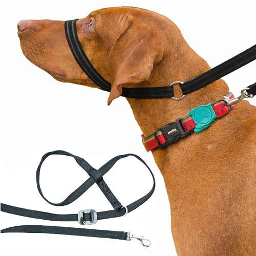 Gencon - Clip-to-Collar Dog Headcollar and Lead - Trainer Approved - One Size Dog Training & Behaviour Aid - Soft & Gentle Design with Trigger Clip - Right - Made in Britain - Black