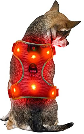 Klein Rot Wiederaufladbare USB LED Hundegeschirr Beleuchtetes Hundegeschirr Leuchtend Aufladbar Licht Hunde Weste LED Hund Geschirr LED Hundegeschirr Sicherheitsgeschirr Hund LED Hunde Zubehör