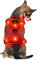 Klein Rot Wiederaufladbare USB LED Hundegeschirr Beleuchtetes Hundegeschirr Leuchtend Aufladbar Licht Hunde Weste LED Hund Geschirr LED Hundegeschirr Sicherheitsgeschirr Hund LED Hunde Zubehör